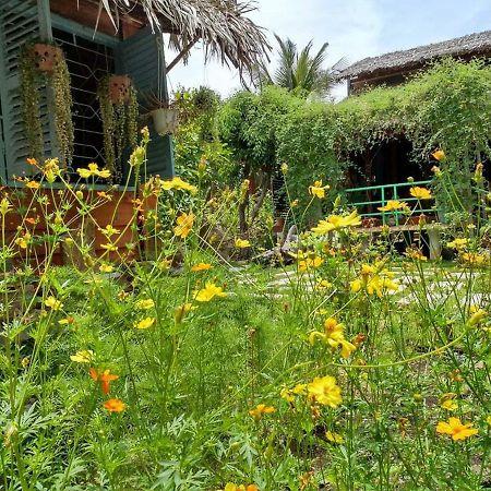 Bach Cuc Homestay 롱하이 외부 사진