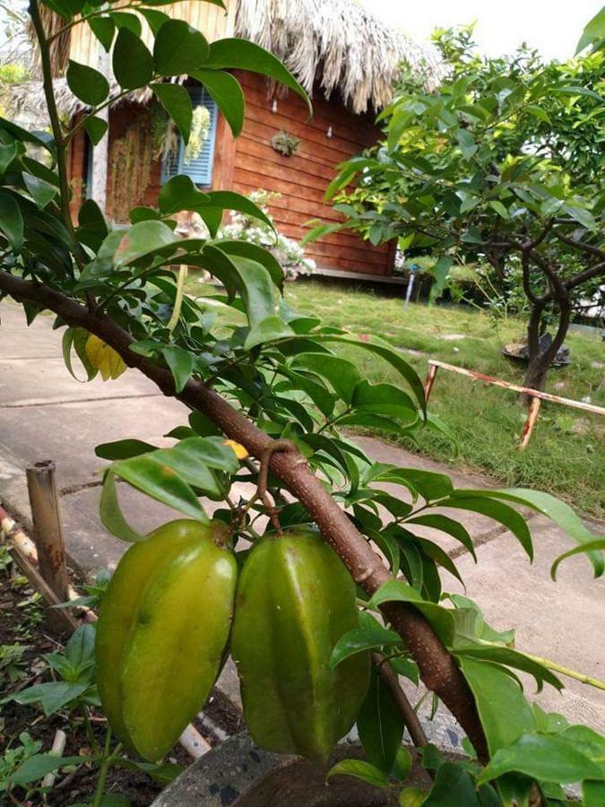 Bach Cuc Homestay 롱하이 외부 사진