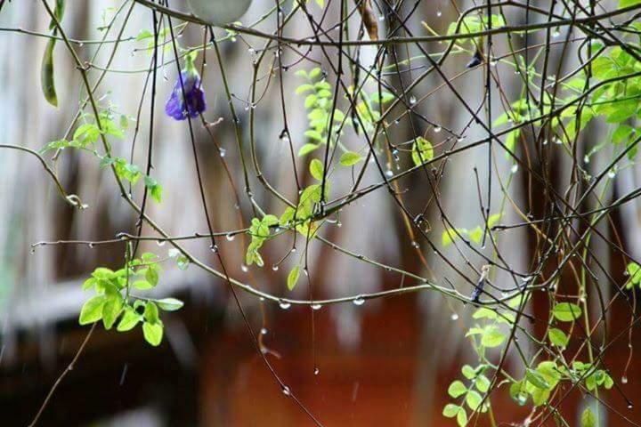 Bach Cuc Homestay 롱하이 외부 사진