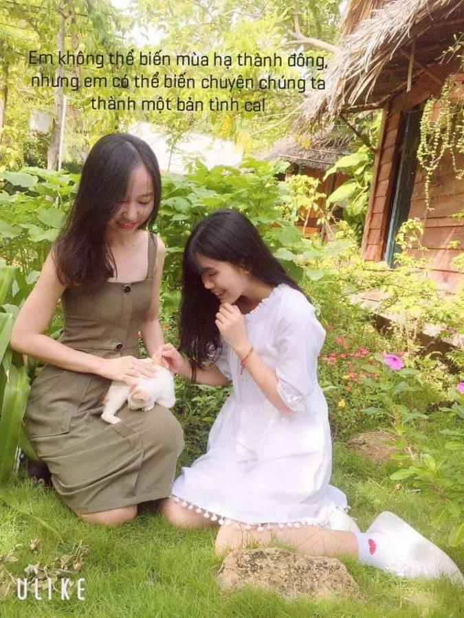 Bach Cuc Homestay 롱하이 외부 사진