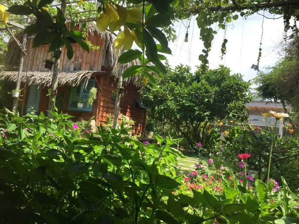 Bach Cuc Homestay 롱하이 외부 사진