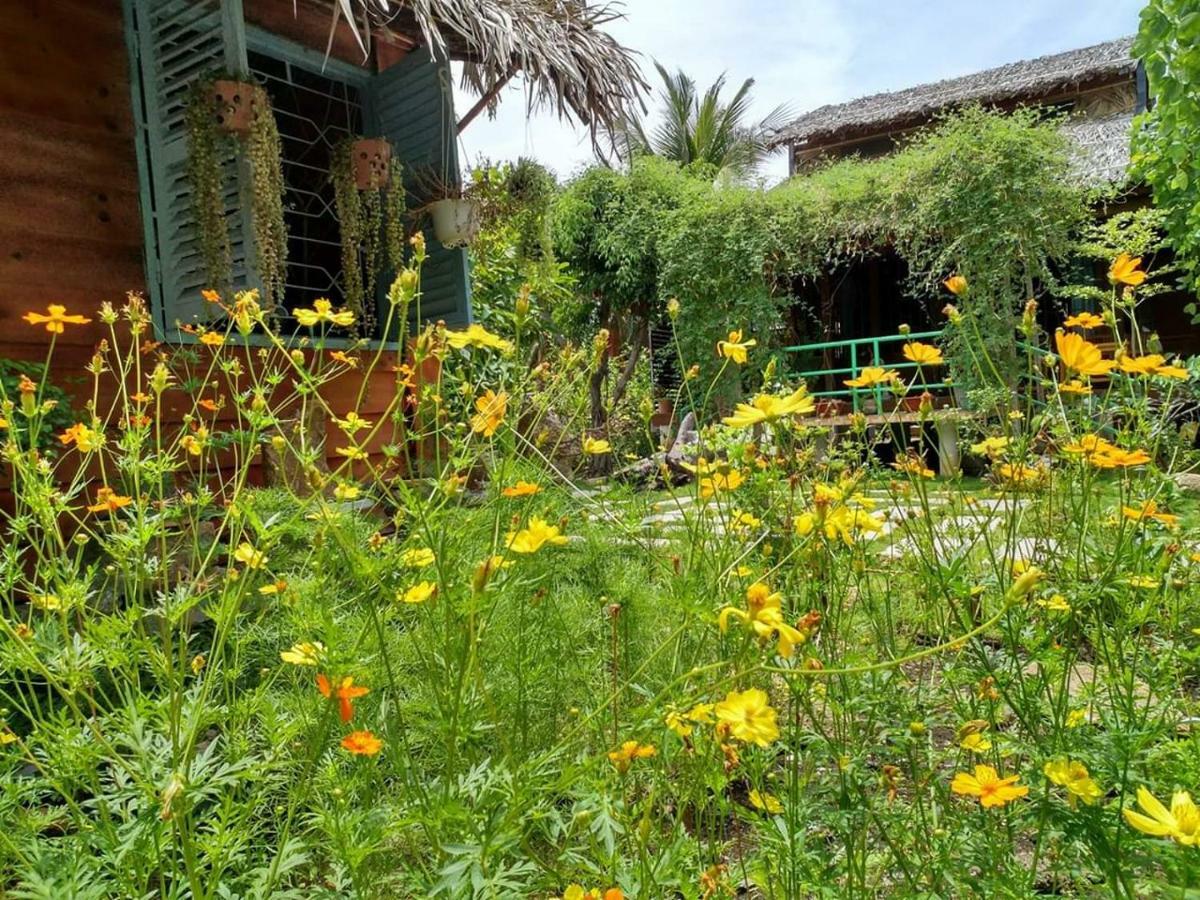 Bach Cuc Homestay 롱하이 외부 사진